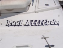 Reel Attitude